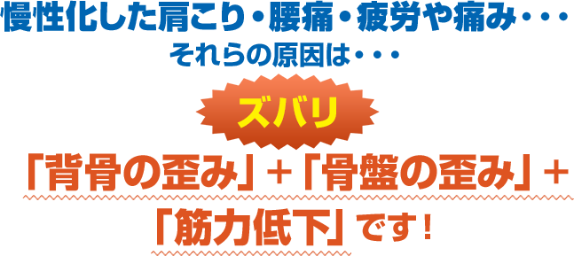 慢性化した肩こり・腰痛・疲労や痛み・・・それらの原因は・・・ズバリ!「背骨の歪み」+「骨盤の歪み」+ 「筋力低下」です!