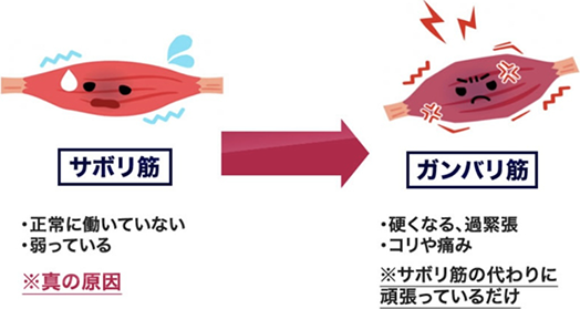 サボリ筋を正常に働かせることで、ガンバリ筋は過剰な働きが必要なくなり自然と緩みます。