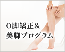 O脚矯正&美脚プログラム